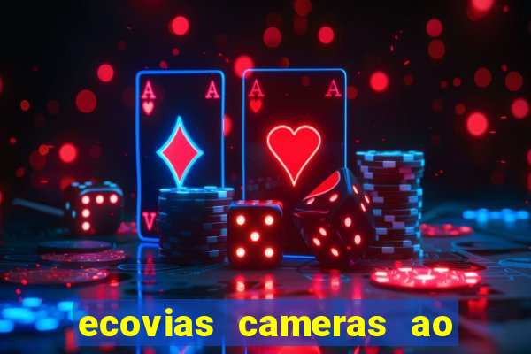 ecovias cameras ao vivo santos